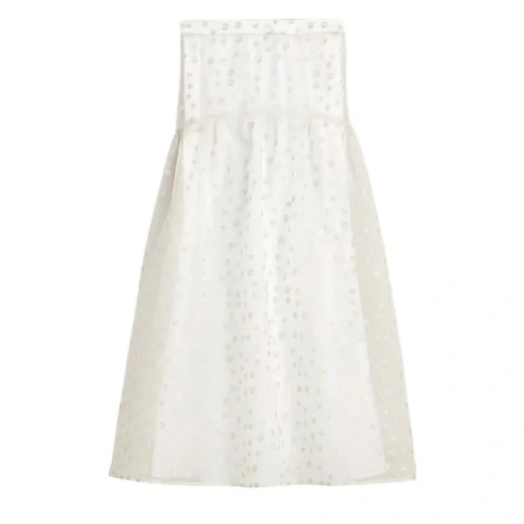 Maryam Nassir Zadeh X J.Crew drop-waist polka dot embroidered silk organza skirt - Picture 2 of 12
